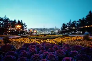 Время Иркутска: погружение в историю города - 2