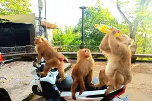 Добро пожаловать на Пхукет! - 8