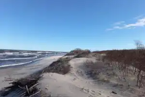 Увлекательные выходные: Калининград и курортные городки с местным гидом Увлекательные выходные: Калининград и курортные городки с местным гидом