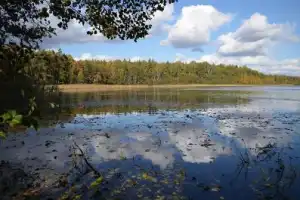 Велопрогулка к Мещерским озерам - 3