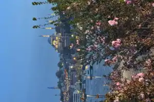 Прогулка на яхте по Босфору с гидом - 13