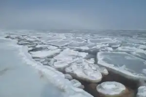 Топ-5 мысов острова Русский! - 23