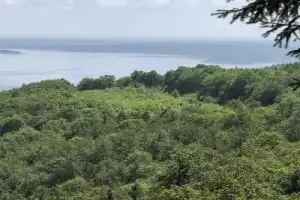 «Мне для отдыха души подошли бы Тетюши!» - 17