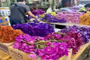 Город ангелов и искушений — глазами местных жителей - 12