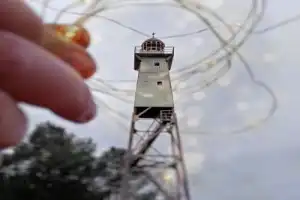 На свет маяка: прогулка по сосновому лесу и пикник на берегу Онеги - 11