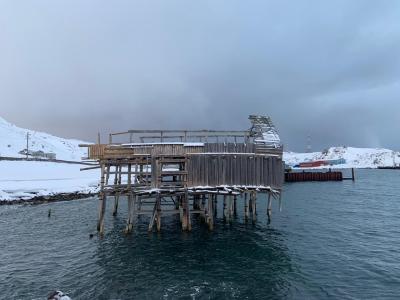 Териберка — вечное сияние чистого Севера (в группе) - 9