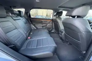 Трансфер из Бреста на экскурсию в Беловежскую пущу - 8