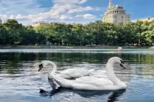 Патриаршие пруды: переплетение судеб - 2