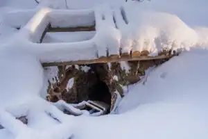 Самоцветная чаша Сысерти - 6