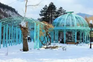 Из Тбилиси — в зимний Боржоми и Бакуриани - 3