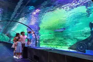 Стамбульский аквариум и отдых у моря в Aqua Florya Стамбульский аквариум и отдых у моря в Aqua Florya