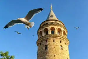 Две звезды одной страны: Каппадокия и Стамбул - 3