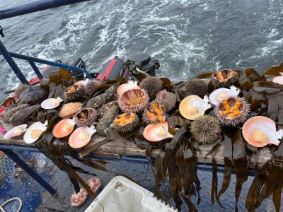 Арктические приключения: морская прогулка в поисках китов, Териберка и этническая деревня - 5