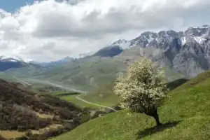 Северная Осетия в душевной компании - 10