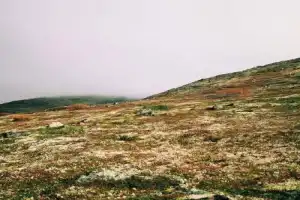 Треккинг по Ловозерью (из Мурманска) - 17