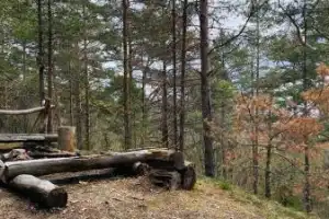 С лесником урочища Чёртов стул — по заповедным тропам - 10