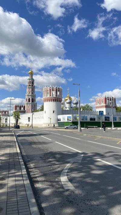 Царственные насельницы Новодевичьего монастыря - 10