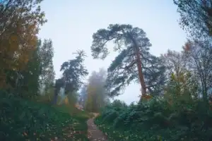 Были и легенды древнего Городца - 12