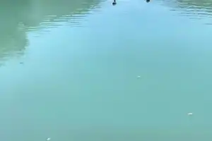 Из древнего Дербента — к самому известному каньону Дагестана - 13