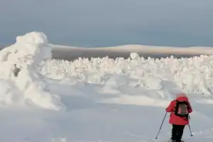 Арктическая экзотика: на снегоступах — по беломорской тундре - 7