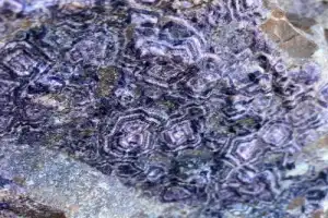 Аметисты Белого моря и исконный Русский Север - 7