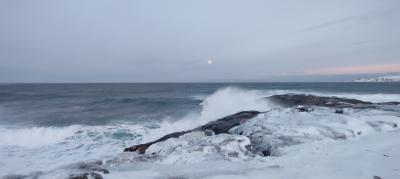 Время Севера: Териберка, киты и морские деликатесы - 4