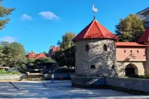 Из Санкт-Петербурга в Сосновый бор - 1