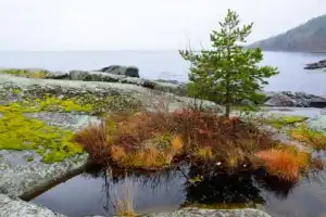 Валаам, Ладожские шхеры и остров Хонкасало: водная прогулка - 5