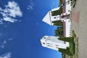 Из Бреста — в заповедный мир Беловежской пущи - 18