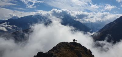 Лавочка над облаками и другие чудеса Осетии