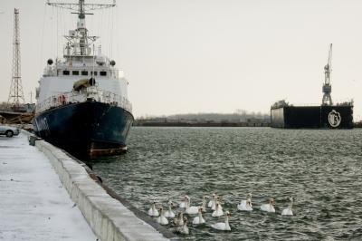 Три в одном: Балтийск, Янтарный и Светлогорск - 7