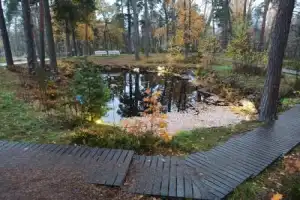 В Монрепо — со старожилом - 7