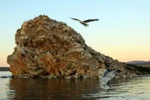 Прогулка на катере к острову Чаек - 2