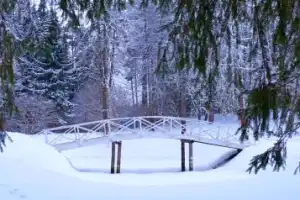 В Пушкинский заповедник из Пскова (на вашем авто) - 9