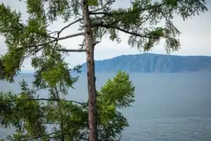 Знакомство с Байкалом за один день (из Иркутска) - 3