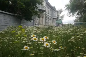Время Иркутска: погружение в историю города - 7