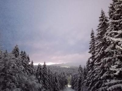 Карелия заповедная: прогулка по экотропе - 14