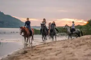 Конная прогулка в Нижнем Новгороде Конная прогулка в Нижнем Новгороде