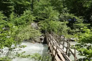 На джипе — к Альпийским лугам через водопады и озеро Рица - 13