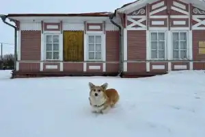 Удивительная северная глубинка — Холмогоры - 9
