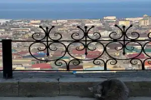 Старый Дербент: обзорная экскурсия - 15