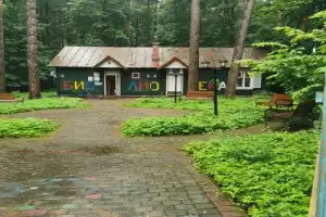 Уютное Переделкино - 3