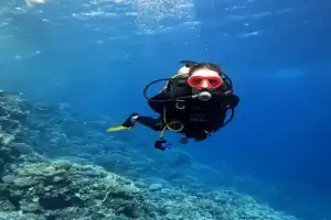 По Красному морю — на дайверской яхте - 10