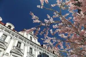 Литературные переулки Арбата - 6