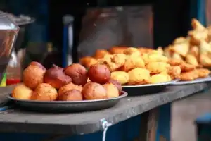 Тигры в дикой природе: заповедная и популярная Индия - 12