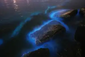 Чудеса Пхукета: от Белого храма до светящегося моря - 3