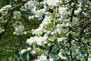 Путешествие по живописным окрестностям Гродно - 15