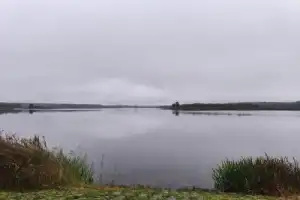 Трансфер из Бреста на экскурсии в Беловежскую пущу - 11