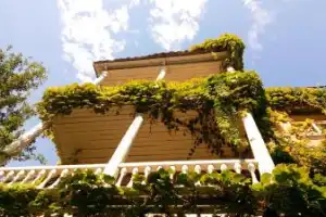 «Поспешишь-опоздаешь!» — прогулка в тбилисском ритме - 8