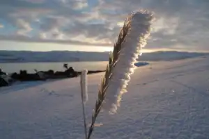 На снегоходах по Кольскому полуострову: Баренцево море, саамы и романтика севера - 7